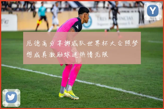 厄德高分享挪威队世界杯大合照梦想成真激励球迷热情无限